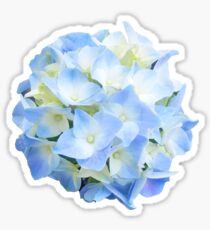 The Peaceful Hydrangea Sticker