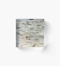 Birch Tree Bark Acrylic Block