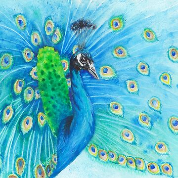 Peacock Pencil Sketch Art