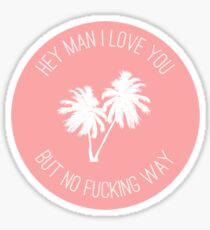 Twin Sized Mattress Lyrics (Peach) Sticker