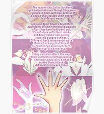 Sailor Moon logics "size edit" Poster
