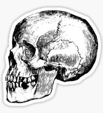 Skull 1 Sticker