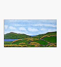Scene from Ireland Photographic Print