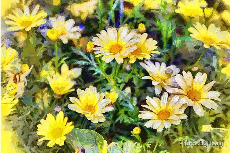 "Yellow daisies - painted" by PhotosByHealy | Redbubble