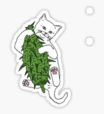 Cat Wrapped Around Weed Bud Sticker