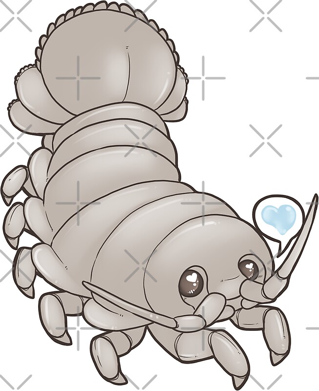 "Giant Isopod" Stickers by nut-case | Redbubble