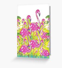 Flamingo Greeting Card