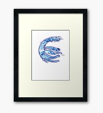 Water Tribe Framed Print