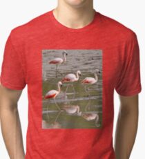 Chilean Flamingos Tri-blend T-Shirt