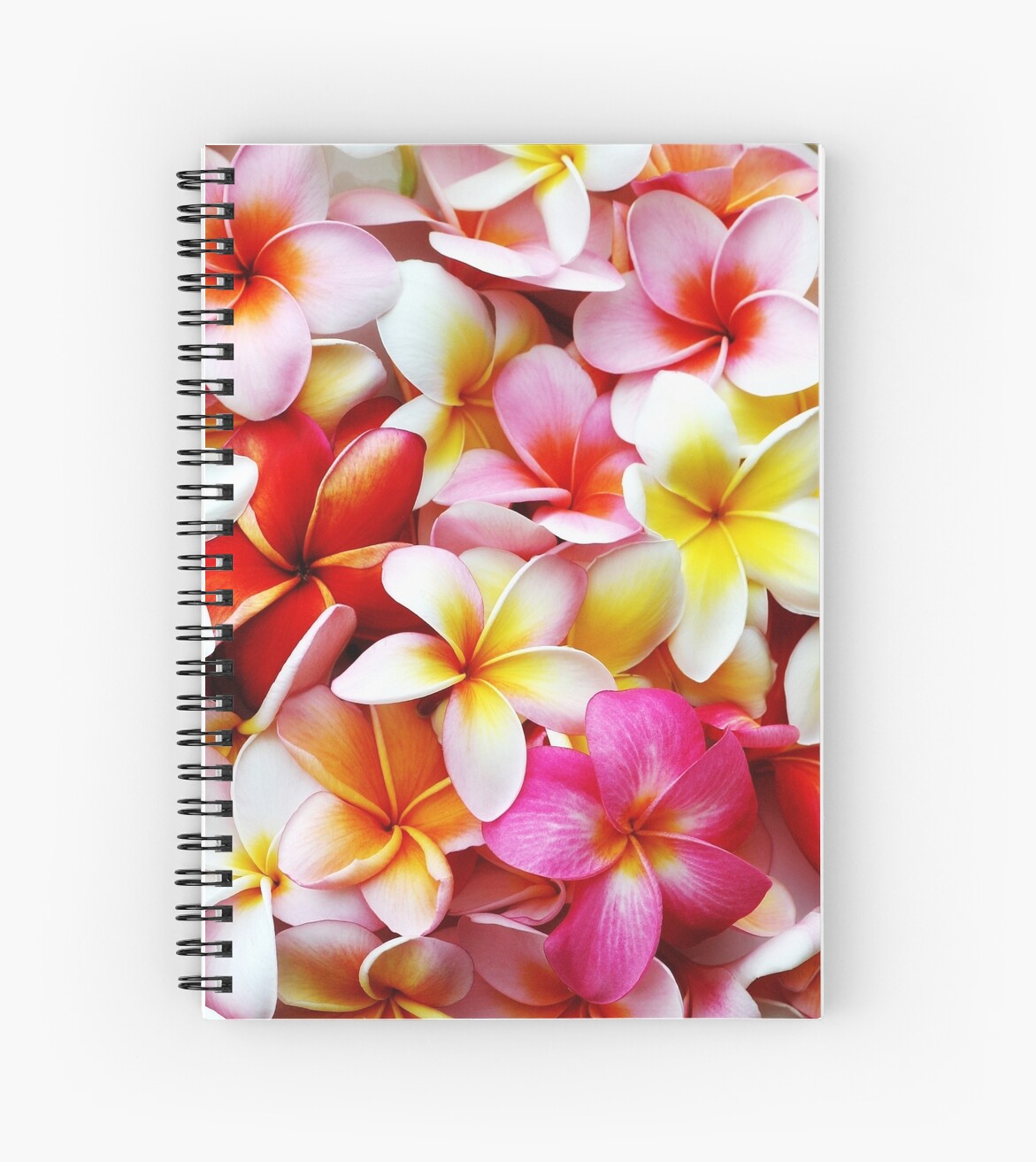 plumeria pink white frangipani tropical hawaiian flower floral fine hawaiian flower paper