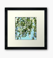 Blossoms Framed Print