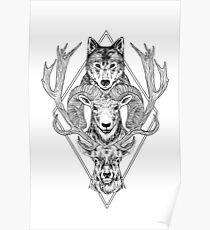 Wolf Ram Hart Poster