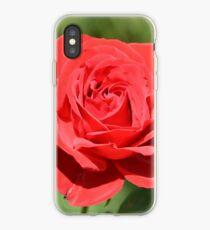 Red Rose iPhone Case