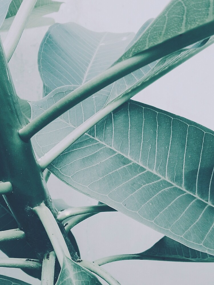 Life by sublimenation