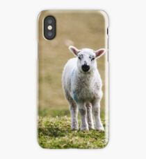 Donegal Lamb iPhone Case
