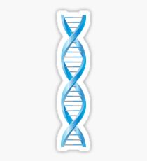 Vertical segment of blue human DNA helix Sticker