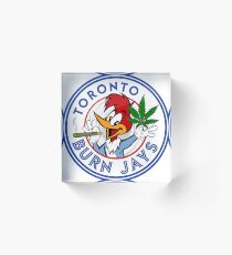 Toronto Burn Jays Acrylic Block