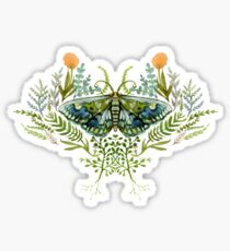 Moth with Plants Sticker