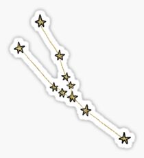 Taurus x Astrology x Zodiac Sticker