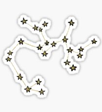 Sagittarius x Astrology x Zodiac Sticker