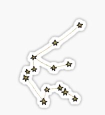 Aquarius x Astrology x Zodiac Sticker