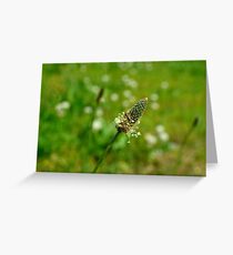 Tiny World Greeting Card