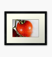 Tomato Framed Print