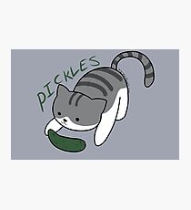 Gurken Die Katze Fotodruck
