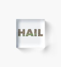 HAIL Michigan Football Acrylic Block