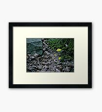 Brown Leaves and Yellow Daffodils Framed Print