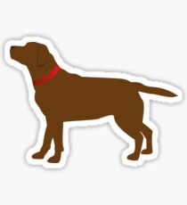 Chocolate Labrador Red Collar Sticker