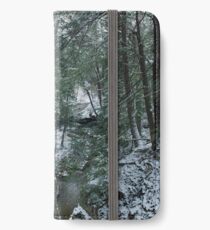 Ravine iPhone Wallet/Case/Skin