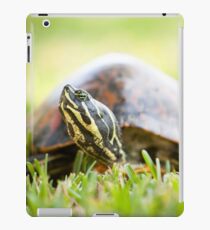 Turtle iPad Case/Skin
