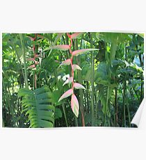 Beautiful Tropical Greenery Poster