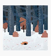 Asleep in the Woods Photographic Print