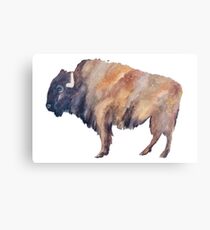 Lienzo El bufalo