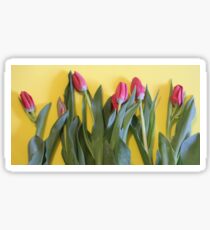 Tulips Sticker