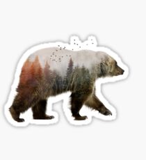 Bear Sticker
