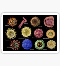 Viruses Sticker