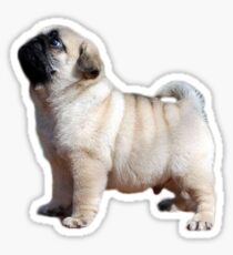 pupper Sticker