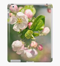 Apple blossom iPad Case/Skin