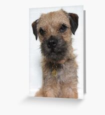 Heidi HellHound Border Terrier Dog Greeting Card