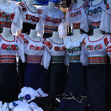 Lienzo for Sale con la obra Blusas bordadas en el mercado de