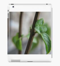 New Day iPad Case/Skin