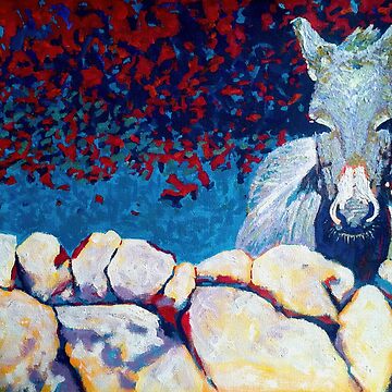 Artwork thumbnail, Wall, Donkey (Ireland) by eolai