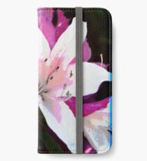 Fairies iPhone Wallet/Case/Skin