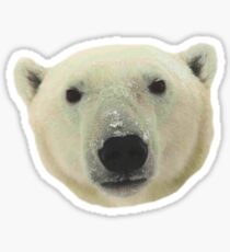 PoLaR BeAR Sticker