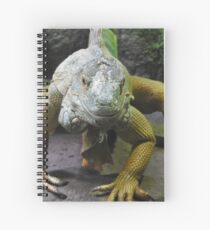 Cuaderno de espiral Iguana verde