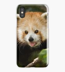 Red Panda iPhone Case