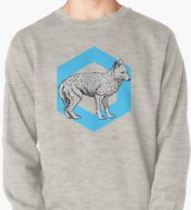 Fox Shine Pullover
